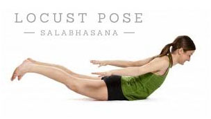 Shalabhasana Yoga in Palakkad